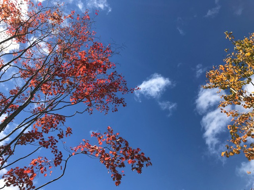 1人暮らししてみようかな･･･の画像