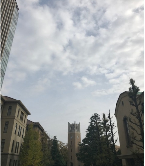 ﾌﾟﾛﾌｪｯｼｮﾅﾙとはなんぞや…！の画像