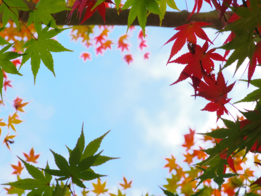 この時期・・・の画像