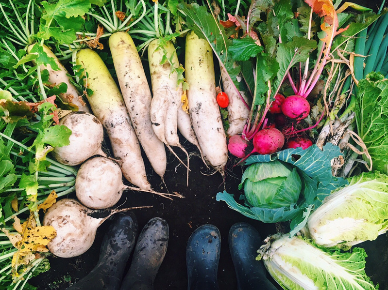 軽井沢の冬の味覚の画像