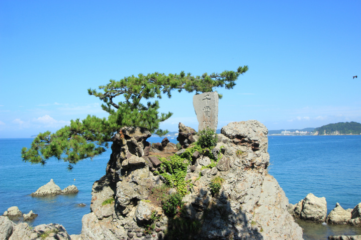 「千貫の値ありて千貫松と呼びて候」の画像