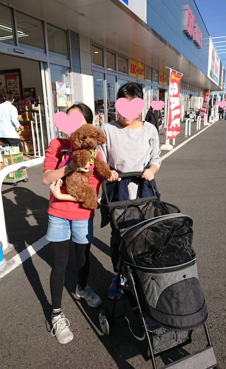 ペットのコジマで愛犬のカート購入の画像
