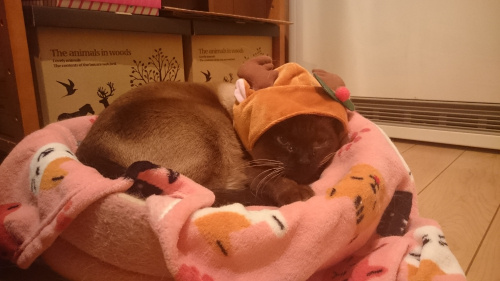 明けましておめでとうございます！の画像