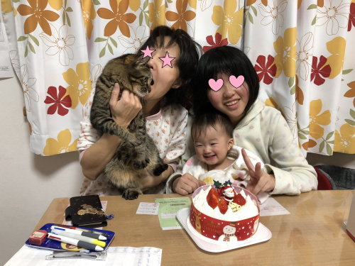わが家のクリスマス（*^_^*）『Ｍｙ賃貸　今池本店』の画像