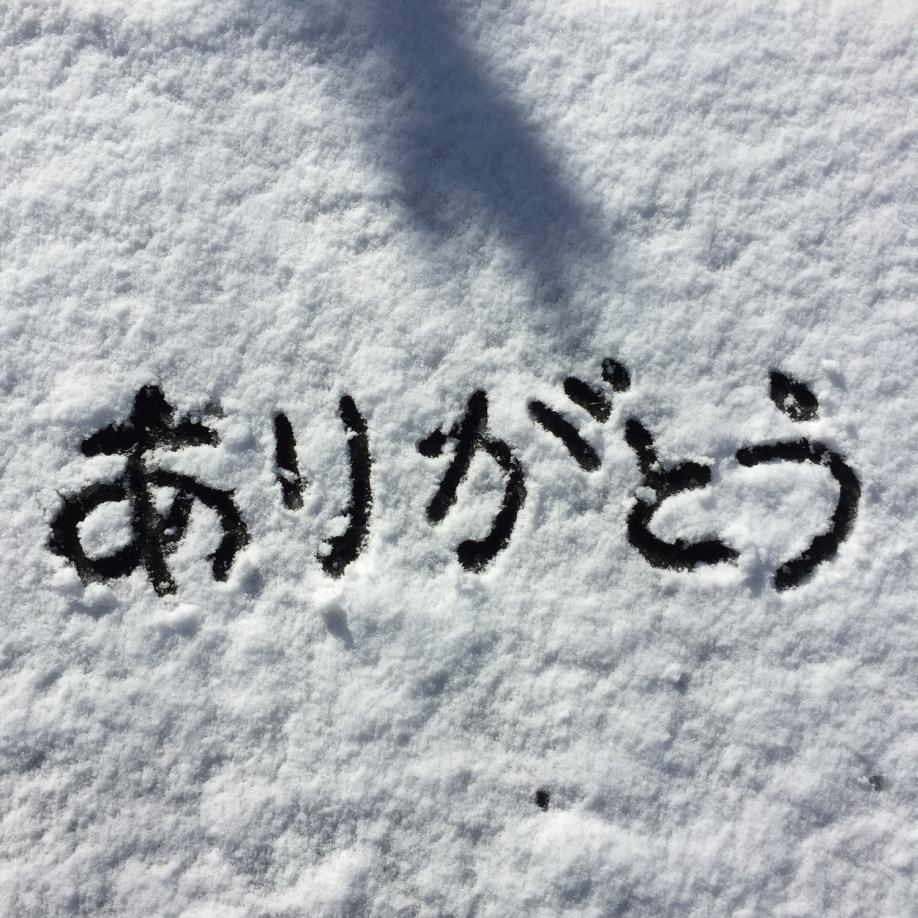 ＂ノスタルジー＂も心の栄養 〈2018年も感謝〉の画像