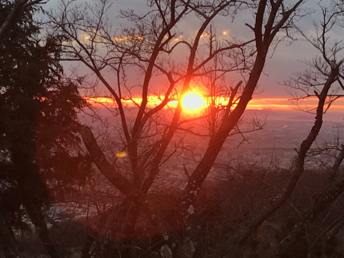 2019年　新年のご挨拶の画像