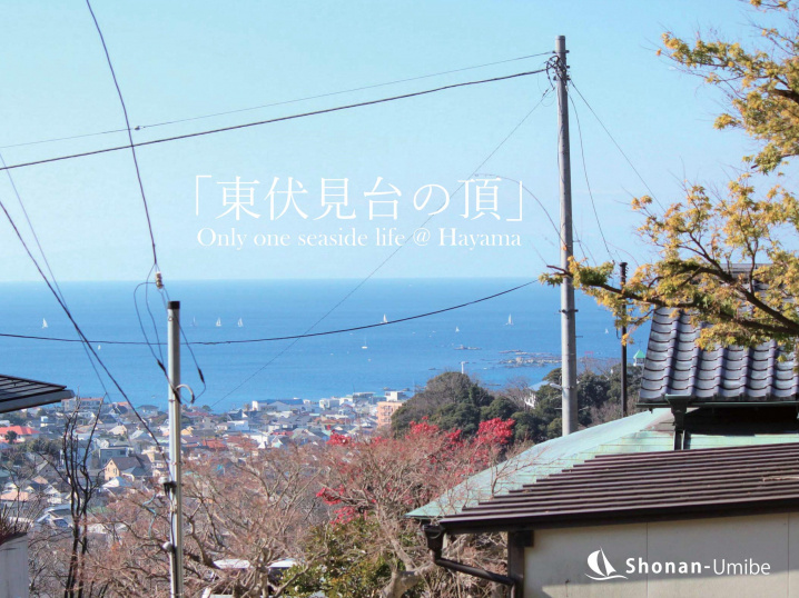 丘の頂へ＜葉山の不動産＞の画像