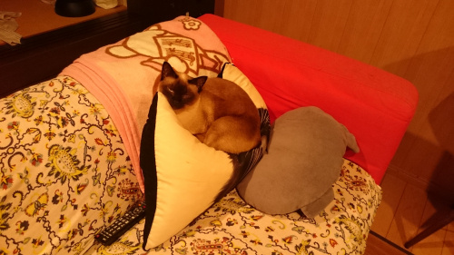 憂鬱でなければ仕事じゃない。の画像