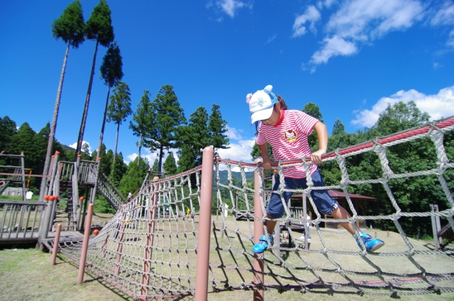 市川市でフィールドアスレチックが楽しめる「ありのみコース」についての画像