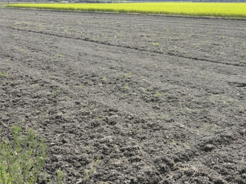 農地をなんとかしたい方におすすめ！転用して売却する方法の画像