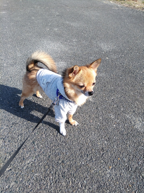 休日♪の画像
