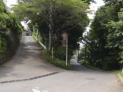 松戸市でハイキングの画像