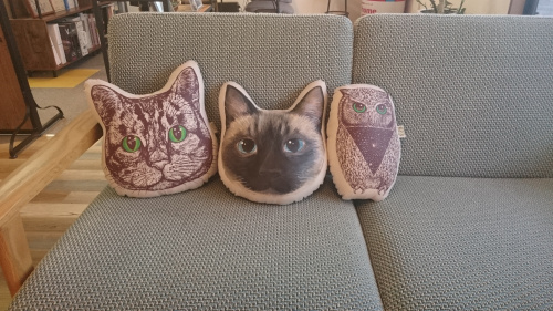 昨日は猫の日の画像