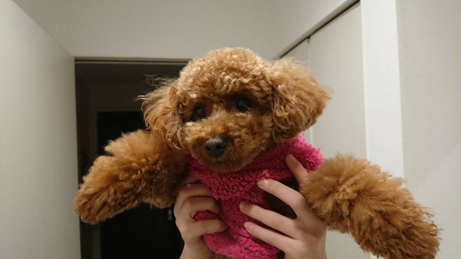 生命力に感動の画像