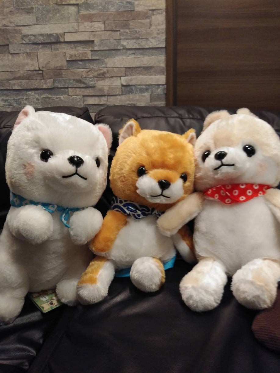 可愛い(´へωへ`*)の画像