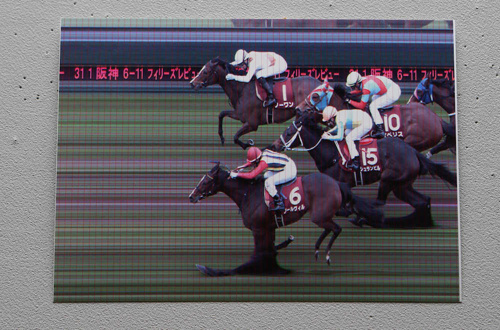 競馬の話！の画像