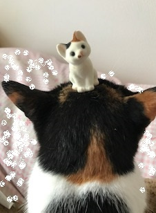 ペット可物件のご紹介の画像