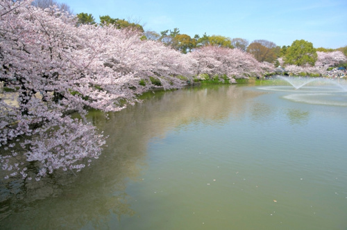 子ども達に人気の遊具もある 名古屋市で遊ぶ際におすすめの公園3選 名古屋市の仲介手数料無料の新築一戸建て ロイホームズ不動産