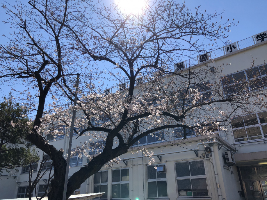 春の訪れの画像