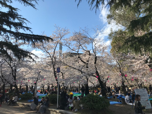 花よりビール！の画像