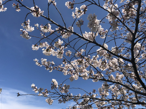 鹿島方面への画像