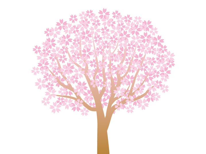常盤平★桜祭りの画像