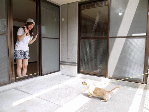 ワンコと私の夢空間 広がるふくらむ 30畳！のお部屋「サンフェアリーⅢ」の画像