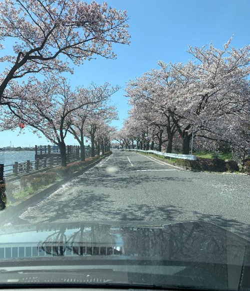 漫画、キングダム！！の画像