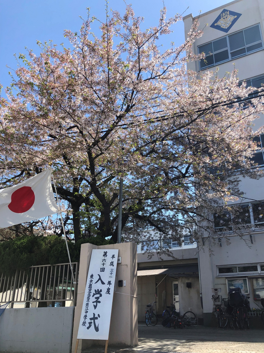 スタート♪の画像