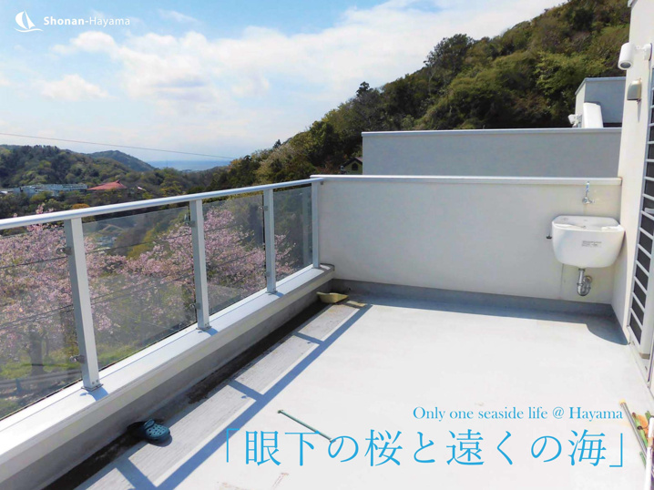[成約済] 眼下の桜と遠くの海＜葉山の不動産＞の画像