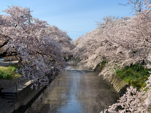 見れました！！＼(^o^)／の画像