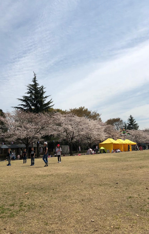 春といえば。。の画像