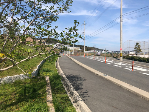 箕面 犬 犬いっぱい ドッグラン りくろーおじさんの店 彩都の森店 箕面の不動産売却は箕面土地建物株式会社へ