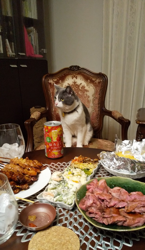 ズボラ女子会の画像