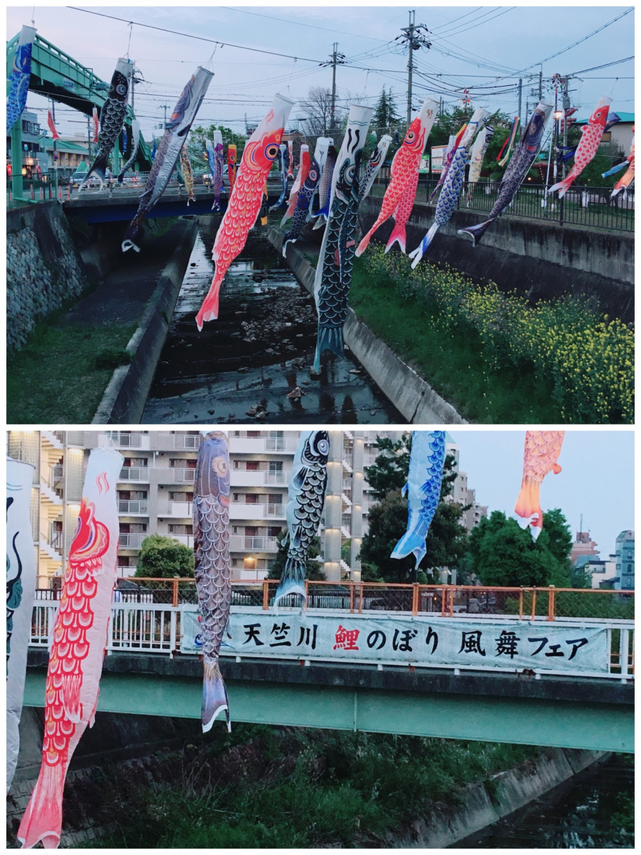豊中市「天竺川鯉のぼり風舞フェア」2019の画像