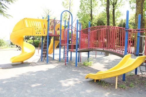 子どもから大人まで幅広い年代の秦野市民に愛される「おおね公園」の画像