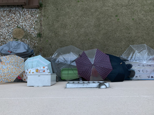 クレイジー・チルドレンの画像