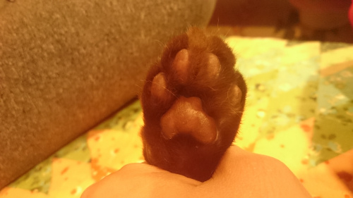 消費者の目線になれるか？！の画像