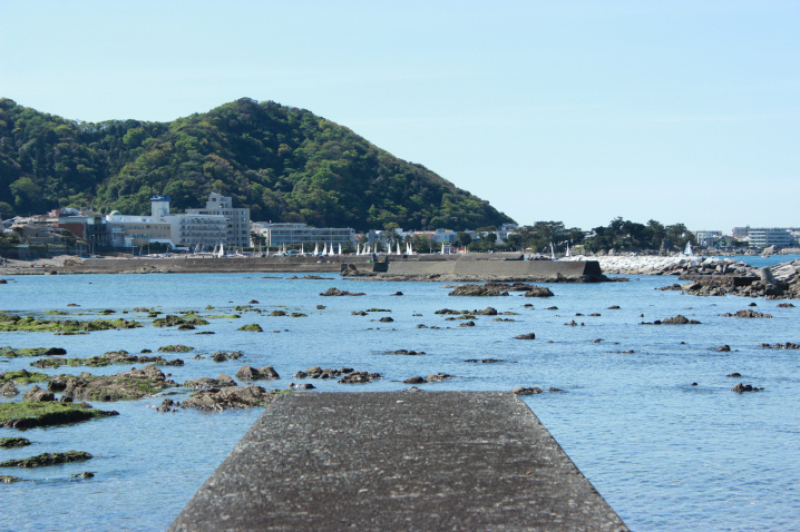 ここは『諏訪海岸』！？の画像