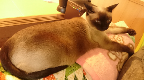 楽しい仕事はあるか？の画像