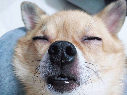 疲れましたね。。の画像