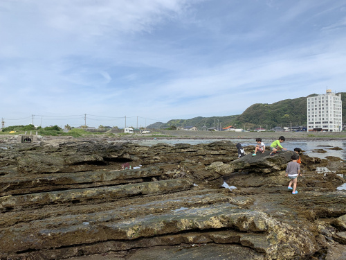 ちょっと自給自足。の画像