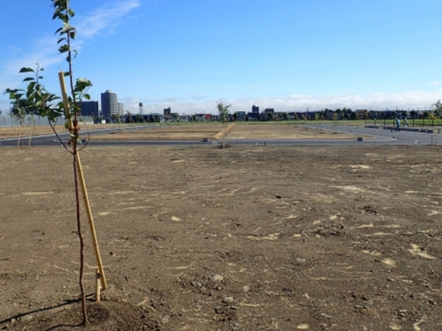 開発行為（カイハツコウイ）の画像