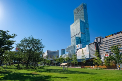 天王寺公園とはどんな場所？子どもが遊べる自然がいっぱい！の画像