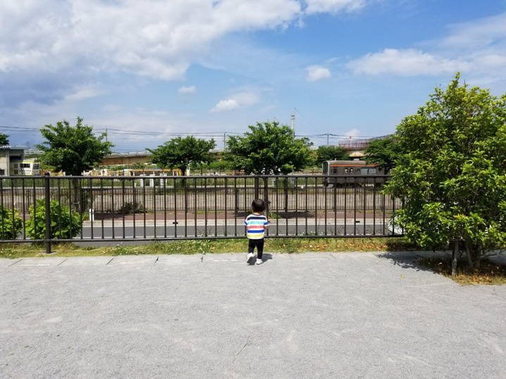 ５月１６日：吉川美南・ポンの見える丘公園（非公式）の画像