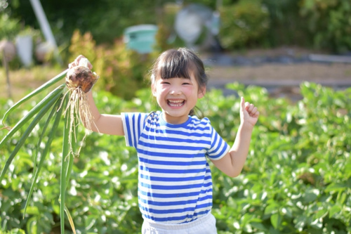 農業体験で子どもが健やかに成長！茅ヶ崎市で楽しく暮らすヒントの画像
