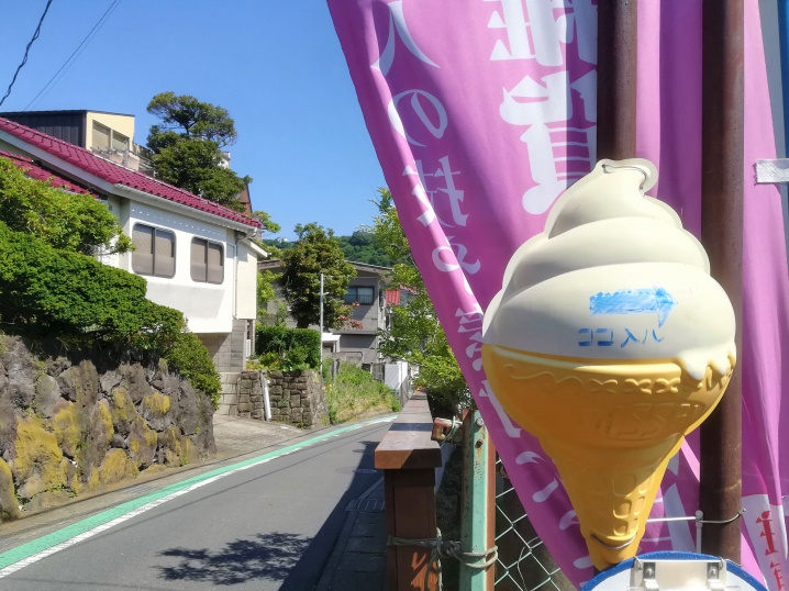 食虫植物に興味津々男子（2019.5.23）の画像