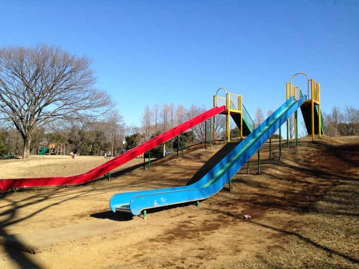 ６月１１日：水元公園の画像