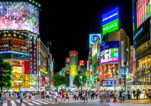 夜の大都会 不動産や土地 飯田橋の戸建てならフォーリスデベロップメント