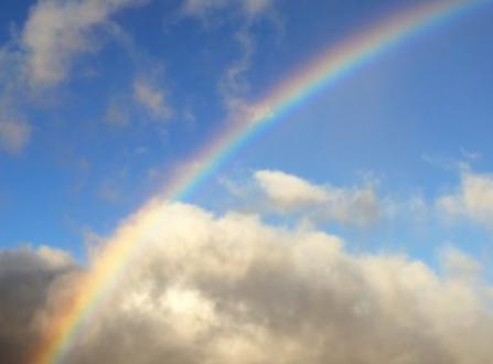 雨・雨・雨の画像
